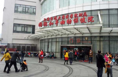 山东上海做试管助孕，上海国妇婴试管婴儿成功率和费用是怎样？